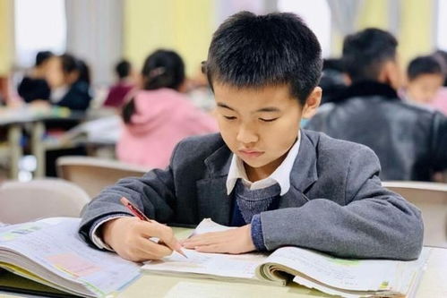 教育改革新戰略即將落地，家長心態需理性調整