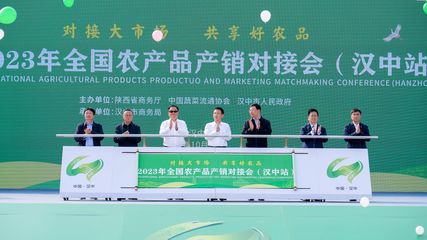 專業(yè)展覽展示承辦——打造品牌形象與商業(yè)價(jià)值的完美舞臺(tái)